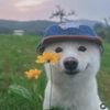 ryan.scott9