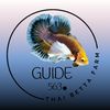 guidethaibettafarm563