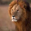 abdulahi500