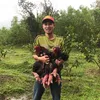 phuongnguyen_farm