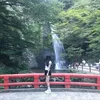 aoi