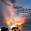 thynguyen850
