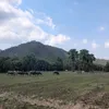 tt17041988