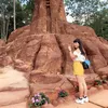 daophamhamy