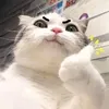tsdtnrtvmplmcxmtcga