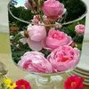 ghizlanekadim