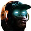 hedalife