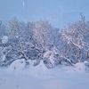 ardni_a