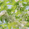 user3ukfm3jkpl