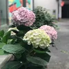 thequietman1