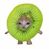 z3r0kiwi