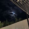 _deni013