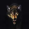 shadow666666wolf