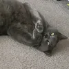 xcreepymonsterx