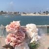 Hala Fathi