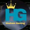 hesham93badr