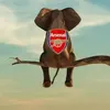 shuuhaadaa7