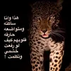 zozo16l1xlalld