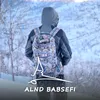 alndbabsefi