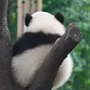 minhiuemmmm