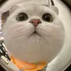 huong_giang137