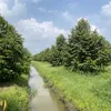 tuantuanbrcs