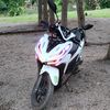 yangkour48