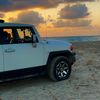 alwarfaly95