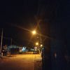 razif313