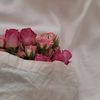 flowers_.26