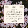 userx98rgttkk4قيصراناقه