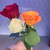 nuna_gwlllll