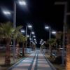 rahaf505_
