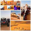 Desert Safari Tours