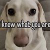 parker_coree
