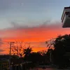 vuimabuon14