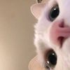 judy_923