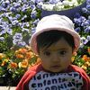 Sukshita Ghimire