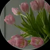 fatima.asmiel