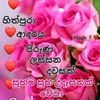 mallika1573
