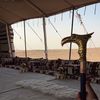 فارس الروقي