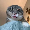 deavildouglas