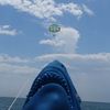 questionableshark