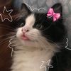 natilla_k