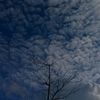 sithu_tt1