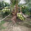 user8l2tir0rum