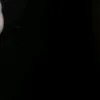 ala___313