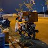 kopikelingan13