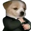 dalexpe