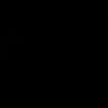 flz_rr1